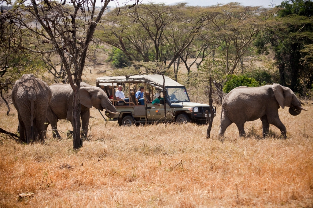 night Game drives at naibosho - conservancy