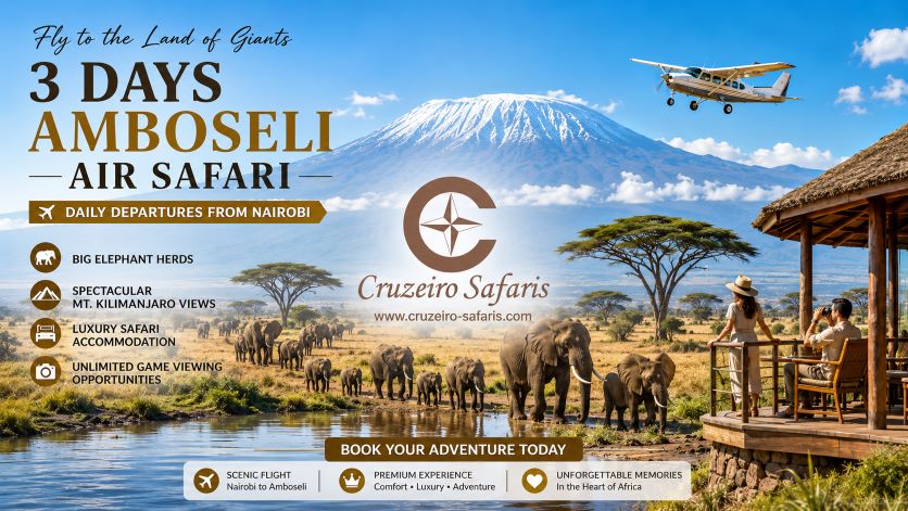 best Amboseli air safari from Nairobi. Compare 2-day and 3-day fly-in safari packages featuring return flights, luxury lodge accommodation, exciting game drives, elephant encounters, and spectacular Mount Kilimanjaro views.