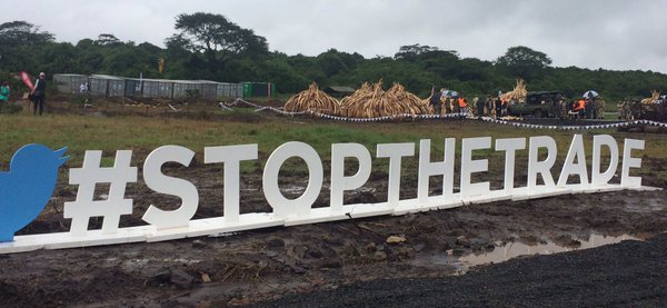 Wildlife Protection Campaign – #StopTheTrade Awareness Support wildlife protection efforts and raise awareness against illegal animal trade with the #StopTheTrade hashtag